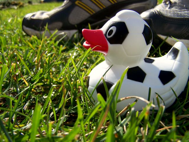 Soccer Ducky