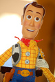 Hey!... Im the REEEAAAL Woody! Pick me.....Guys?....Guys? Cummon Guys!