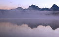 Foggy