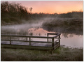 Morning Mist