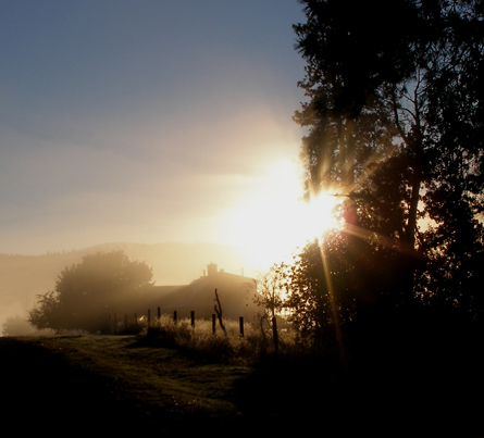 Bright 'n' Early