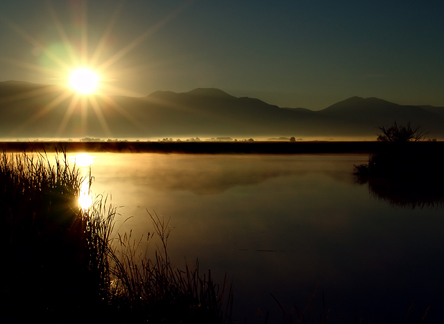 Pleasant Awakenings