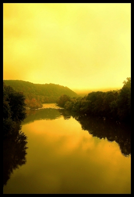 Golden Fog