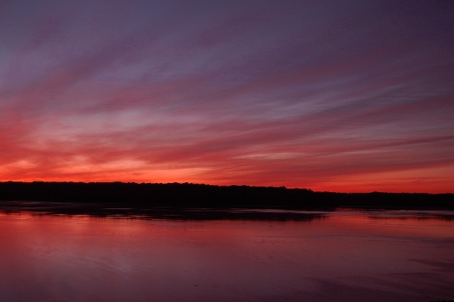 Red Morning