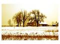 House in the Snow