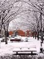Thames Street Park