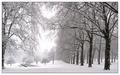 Snowscape