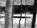 river view