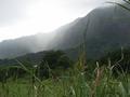 Koolau Mist