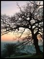 Silhouette at sunrise.