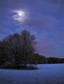 Moonlight
