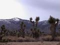 Where the mountains meet the desert...