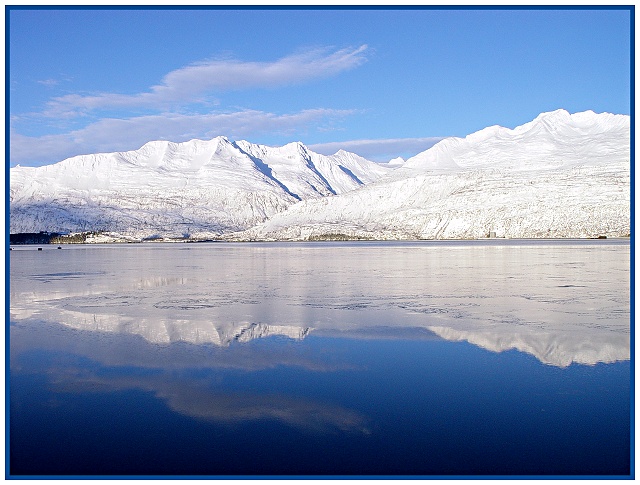 Reflections Under Ice