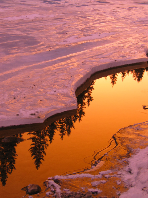 Reflection