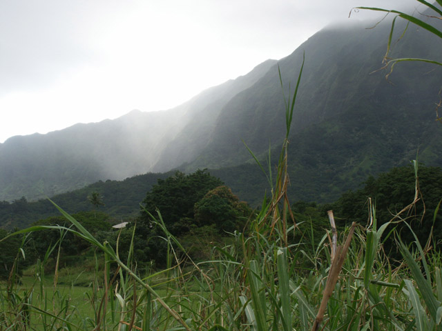 Koolau Mist
