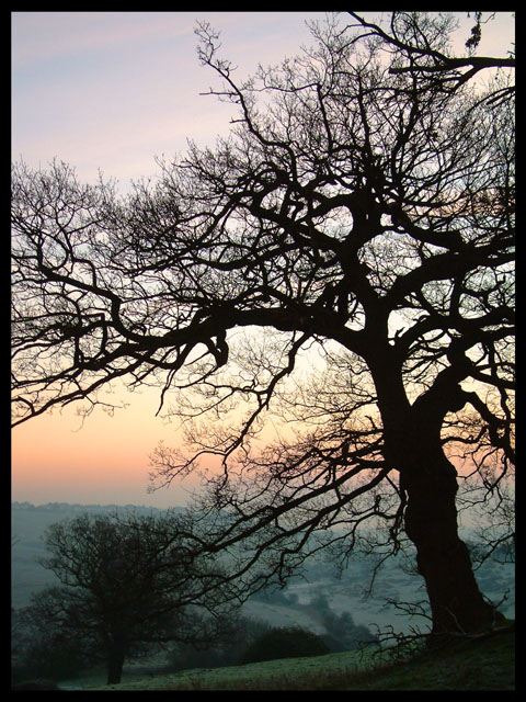 Silhouette at sunrise.