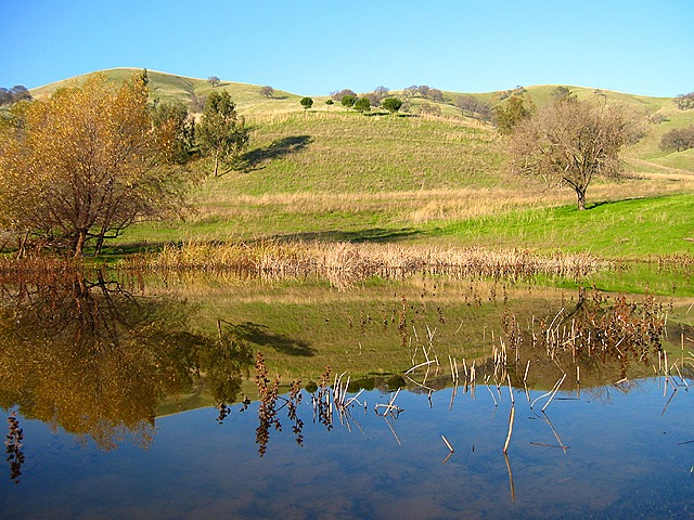 Bobby's Pond