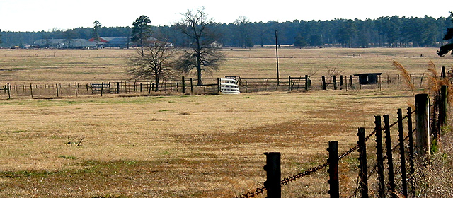 Casey Jones Ranch