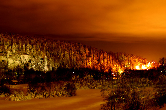 Winter Landscape at Night