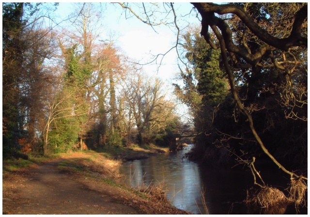 River Lagan: Frozen