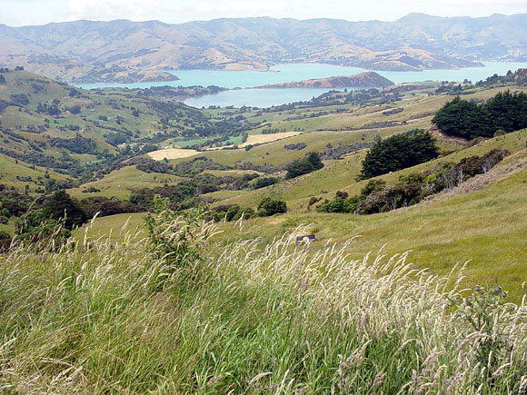 Outside local pub.....Akaroa....New Zealand