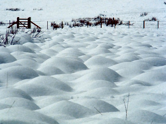 SNOWFIELD