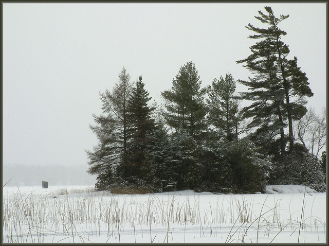 Shore View of Lake Couchiching