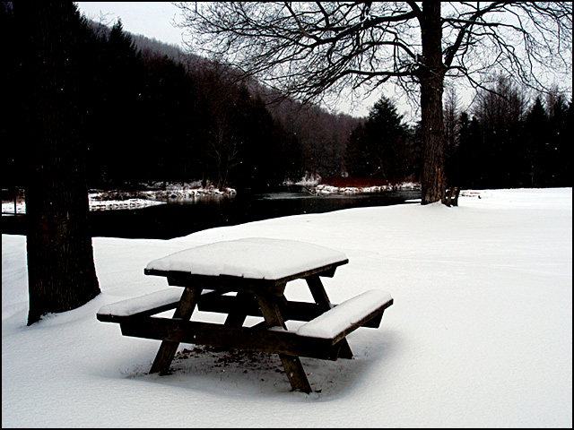 Sno-Cone Picnic