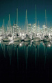 City Lights