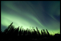 Aurora Borealis