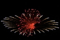 Firework