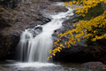 Yellow Fall