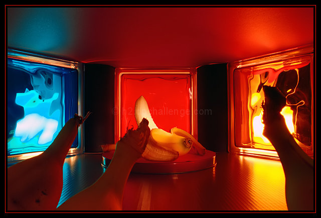 The Night Club