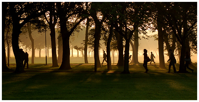 Early Morning Light