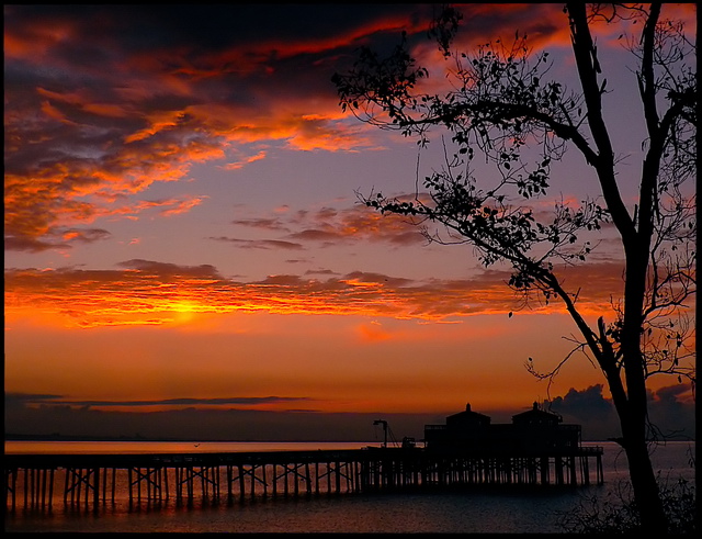 Silhouettes of Light