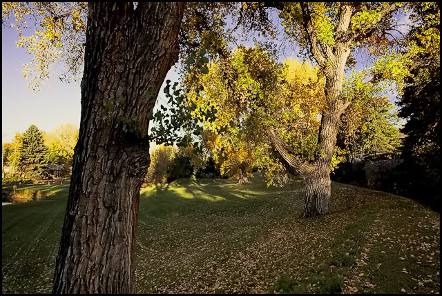 Autumn in the Park