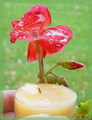 Candle In The Rain