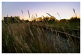 Sunset on the Rails