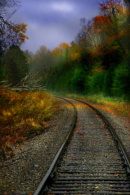 Rails Through Autumn