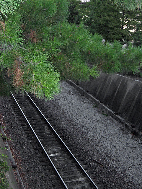 Tracks