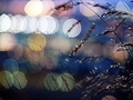 Blowing in the Wind