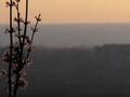 Lake Erie Skyline