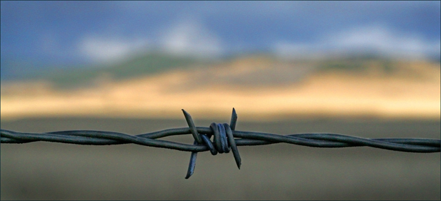 Barbed wire