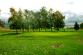 The 19th Hole