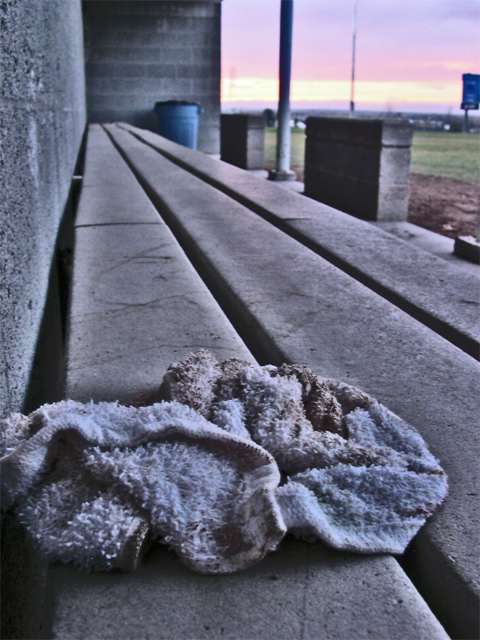 In the Dugout