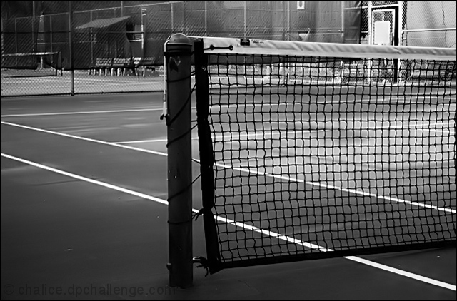 Two Empty Courts and Long Shadows