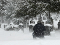 Blizzard