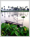 Landscape in Portrait