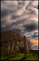 after the storm