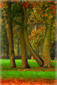 An Autumn Courtship